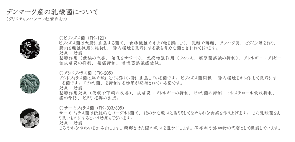 乳酸菌についてb